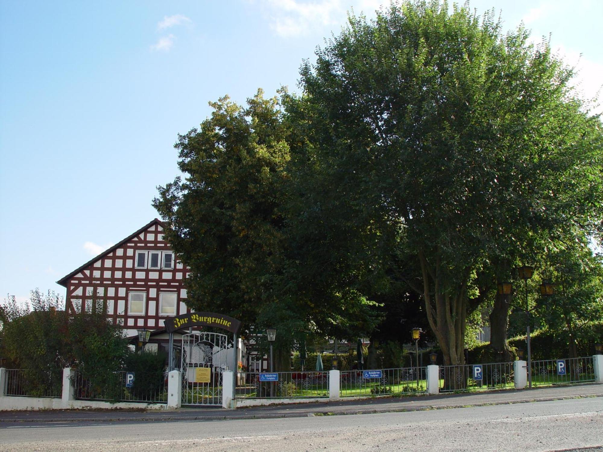Zur Burgruine Frauenberg Hotel Ebsdorfergrund Bagian luar foto